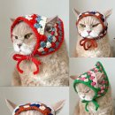 고양이 모자 이미지