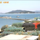 솔향기공원 이미지