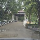 PXR | 혼자가는 골프여행 - 치앙마이 가산 레가시 (Gassan Legacy Golf Club)