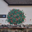 월정 산도롱펜션 이미지