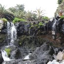 서귀동-31 이미지