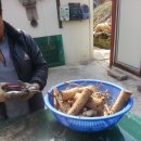 주성농장 이미지