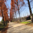 국가정원(동문) 이미지