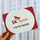 금비노동조합 | 이천 필라테스 “온리유” 그룹 필라테스 초심자 후기