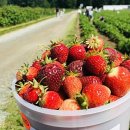 유픽(U-PICK) 이미지