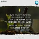 식목일유래 및 변경검토 이미지