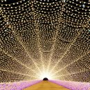 별빛정원 이미지