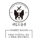 네임드 살롱 이미지