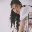노제