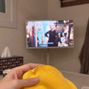 (주)코리아세븐 강서공항대로점 | 서울 강서구 바느질 태교 교실 후기 | 병아리 짱구베개 만들기