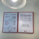 현일이네 | 서울대입구두루치기 김촌 막국수와 함께 먹는 샤로수길 점심맛집 내돈내산 후기