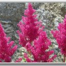 아늑한쉼터 이미지