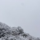 11월 제주도 3박4일 - 준비