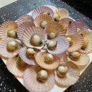 플랑크톤 컴퍼니 이미지