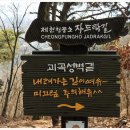 충청북도(제천, 청풍,충주 단양) 가볼만한 곳 이미지