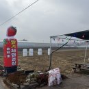 솔비농장 이미지