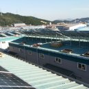 우신태양광발전소 이미지