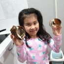 간월도펜션.수산 이미지