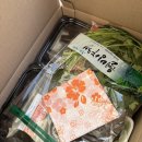 미소과메기 | 포항과메기 미소과메기 내돈내산 후기🐟