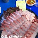 대광어회집 | 수유 내돈내산 대방어 맛집 추천_대광어회집