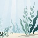 대한당뇨고혈압협회주식회사 | 후코이단 효능 가격 종류 효과 관련 제품 추천 포함