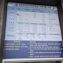 숲속의평창 | 평창반값여행 숙소 두타산자연휴양림 추천 숲속의집 물봉선 1박 후기