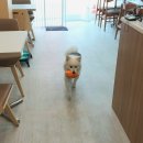 개네집 곳간 네이버블로그