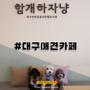 함개하자냥 이미지