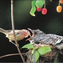 눈빛극장 이미지