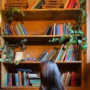 하이야트호프 이미지