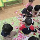 김해큰세상어린이집 네이버블로그