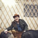 애니멀즈 이미지