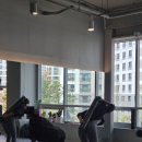 프로피티 | 일광피티 기능성 운동 프로짐 후기