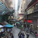 댕댕CLUB 이미지