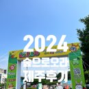 제주 《2024 숲으로 오라》 일정/이용 후기/주차 꿀팁 /셔틀버스