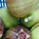 햇님은 반짝 이미지