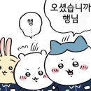 2026년 상반기 오산시 청년인턴 합격 후기 | 보건소 근무부터 실제 업무까지