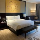 시안호텔 | 중국 시안 취장 윈덤 그랜드 시안 사우스 호텔 후기 + 샤워필터, 세면대 필터 추천