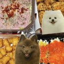 삼첩분식고현점