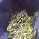 방태산마당바위민박 이미지