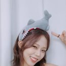샤크스튜디오 이미지