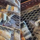 본가한식 이미지