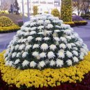 현대백화점 앞 이미지