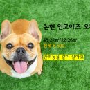 논현중앙 공인중개사사무소 이미지