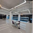 로얄펫 강아지분양 고양이분양 전주점 이미지