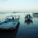 바다, 생명을 담다 이미지