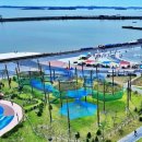 스카이타워 이미지