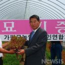 임상호농장 이미지