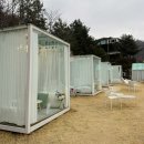 청평하다 | [가평 청평 카페] 청평호 뷰 끝판왕 카페 "코리달리스" 글라스큐브 후기 | 꿀팁 메뉴 주차