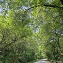 왕숙천공원 그라운드 골프장 앞 | 마이다스밸리 청평 골프클럽 라운드 후기
